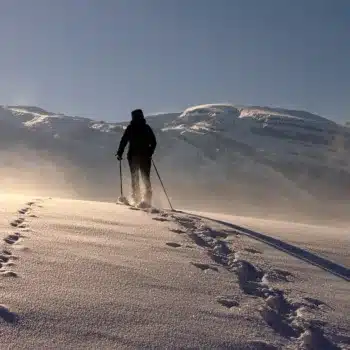 raquette à neige